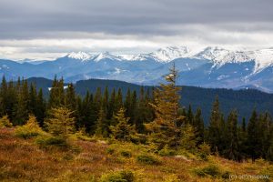 Джипінг у Карпатах