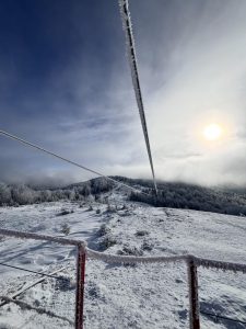 Джипінг у Карпатах