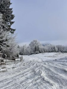 Джипінг у Карпатах