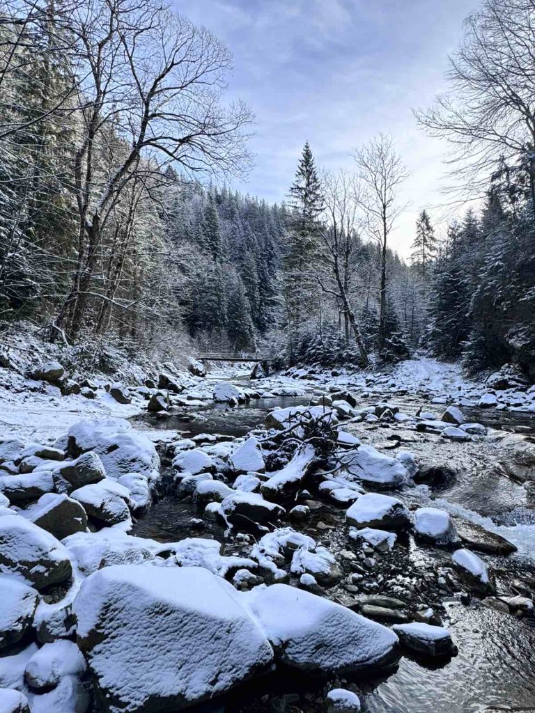 Вечірні вогні Буковеля.Гуцул Ленд 700 грн Вечірні вогні Буковеля.Гуцул Ленд 700 грн