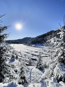 Каскадні водоспади Карпатських гір. ТК «Буковель»